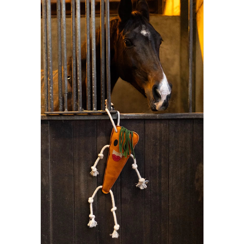 Excellent Horse Foodie Friends Carrot
