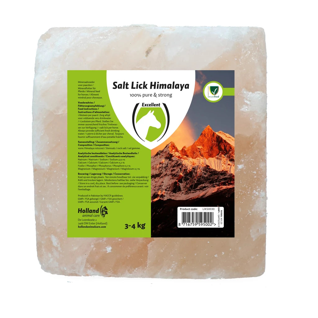 Excellent Horse Himalaya liksteen