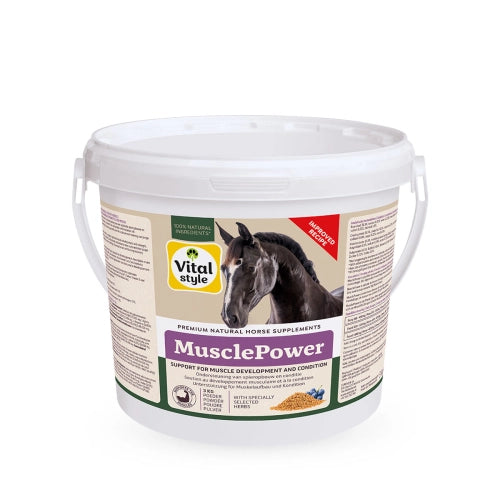 VitalStyle SpierKracht