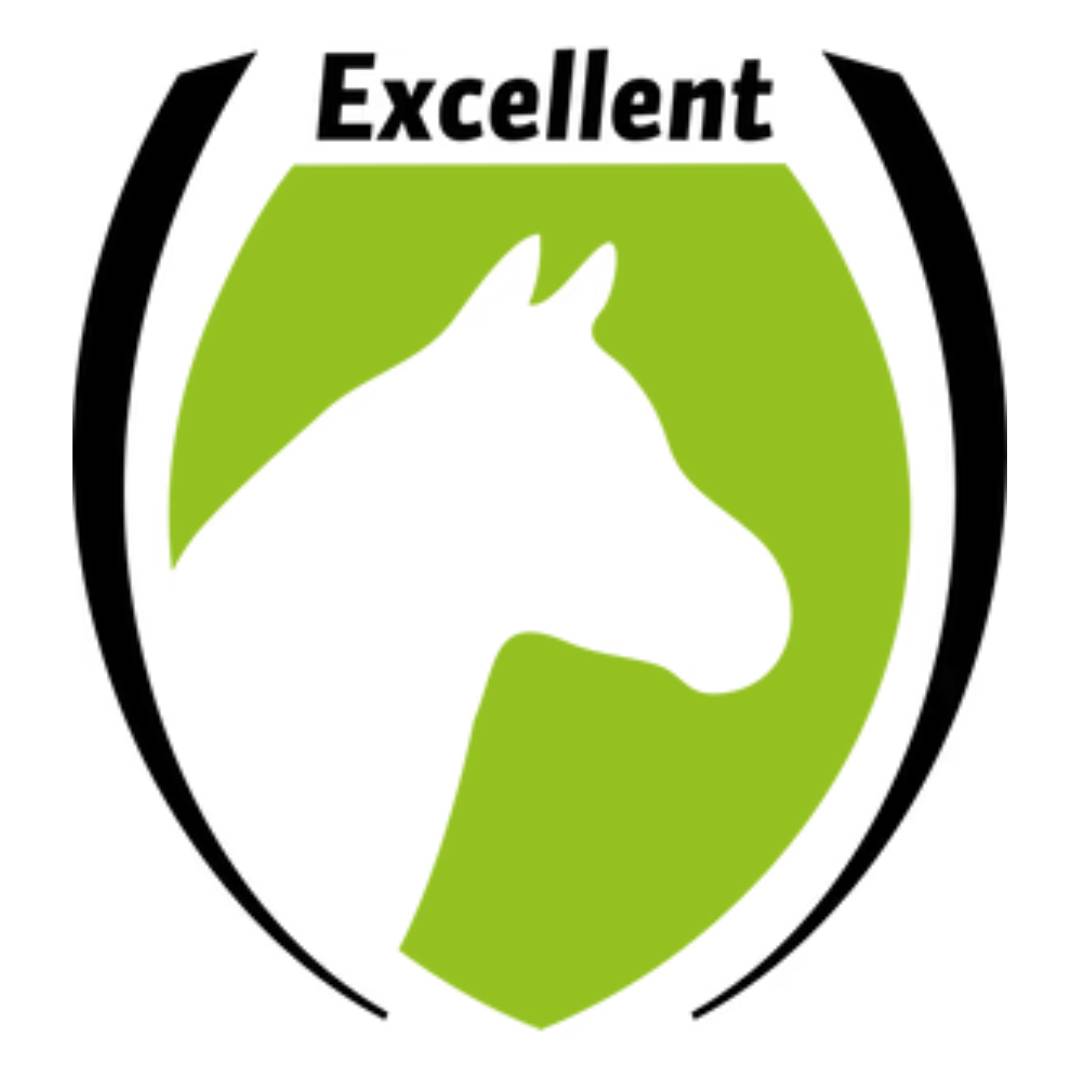Excellent Horse
