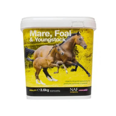 NAF Mare Foal & Youngstock