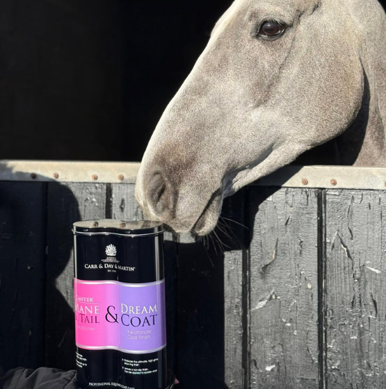 Carr & Day & Martin Ultimate Grooming Duo