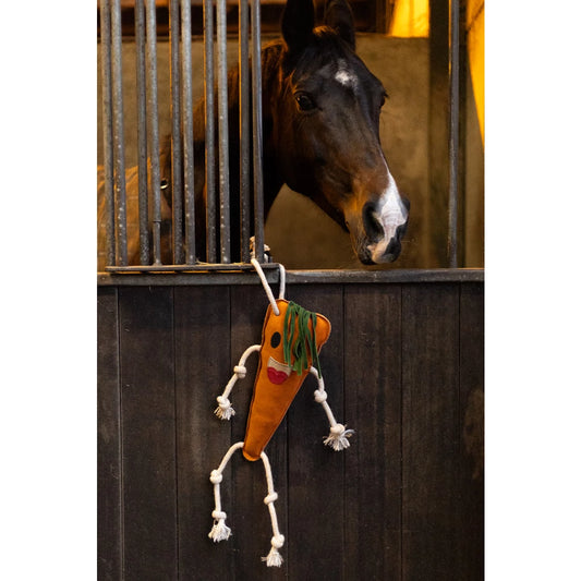 Excellent Horse Foodie Friends Carrot