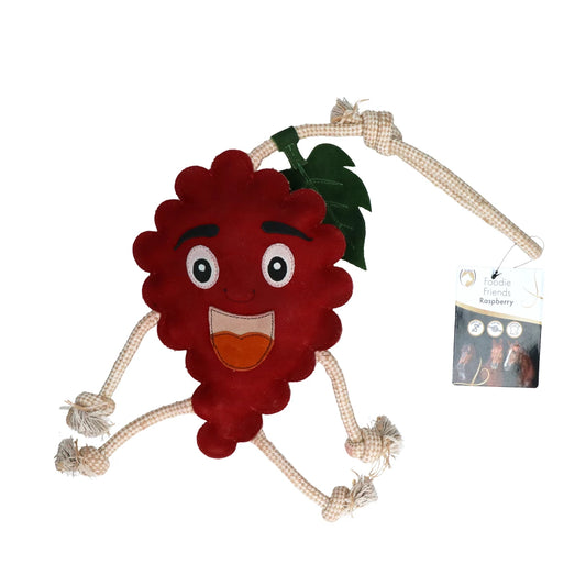 Excellent Horse Foodie Friends Raspberry