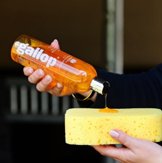Carr & Day & Martin Gallop Colour Shampoo Vos/ Palomino
