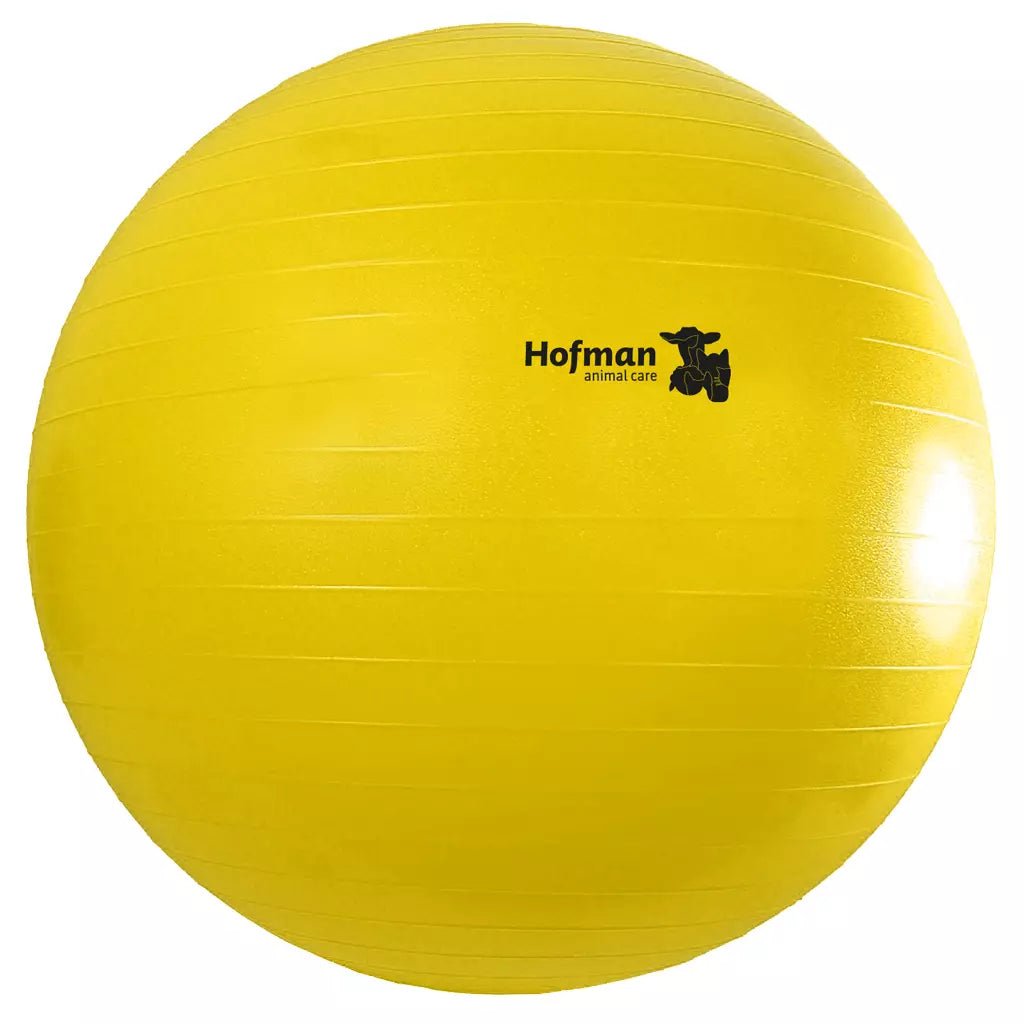 Maximus Power Play Ball