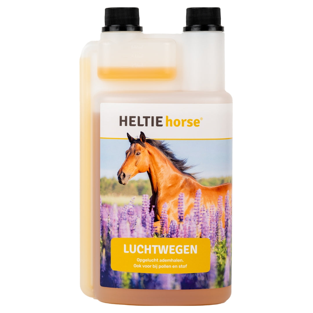 Heltie Horse Luchtwegen