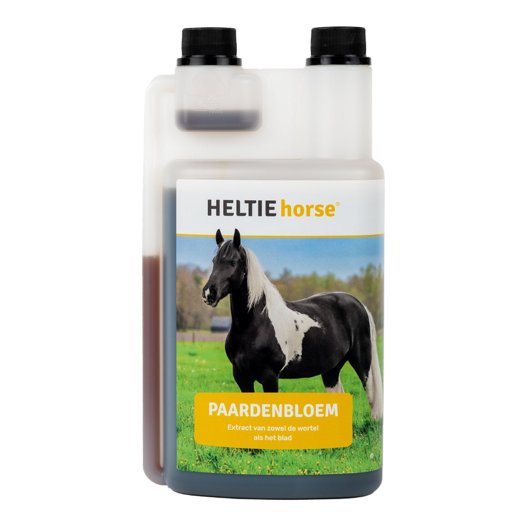 Heltie Horse Paardenbloem