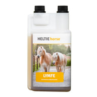 Heltie Horse Lymfe