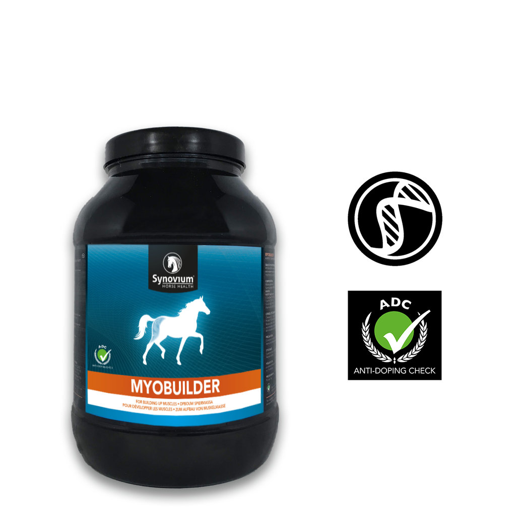 Synovium Myobuilder