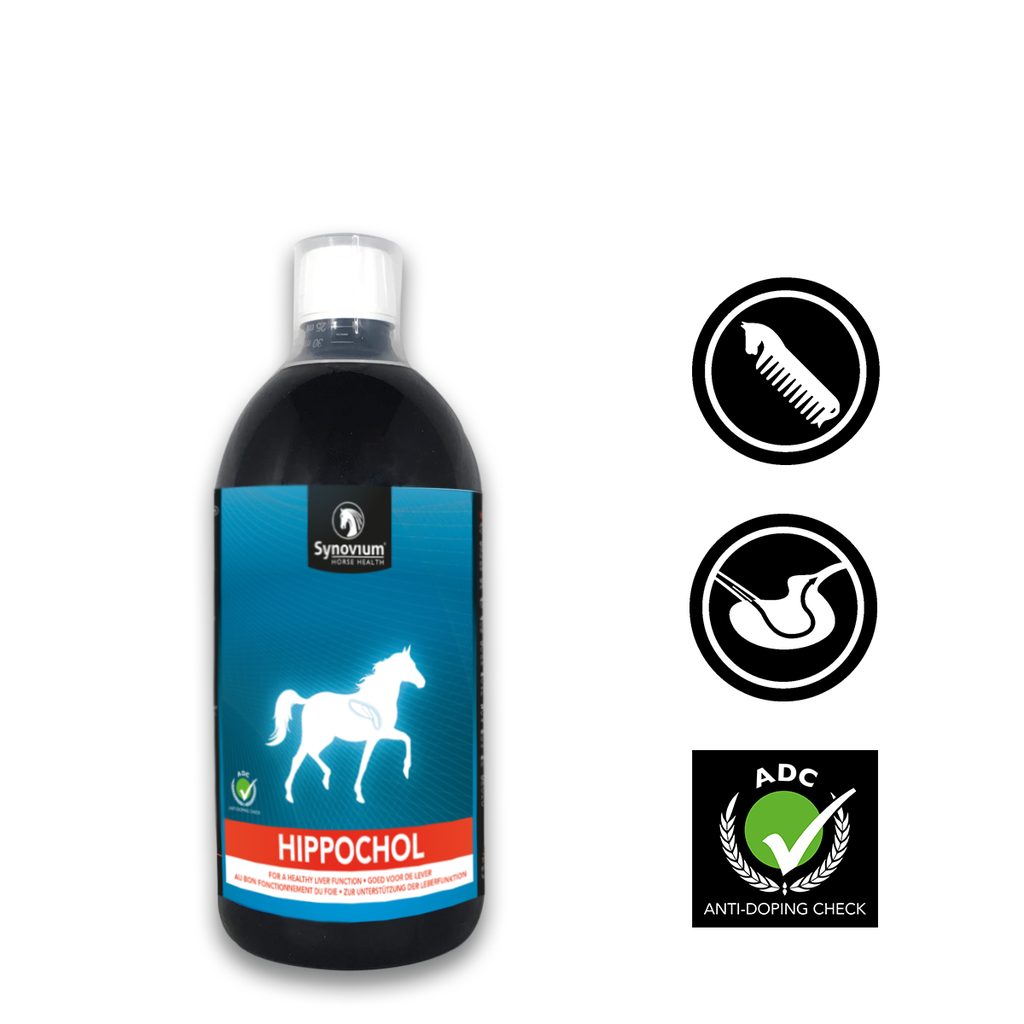 Synovium Hippochol