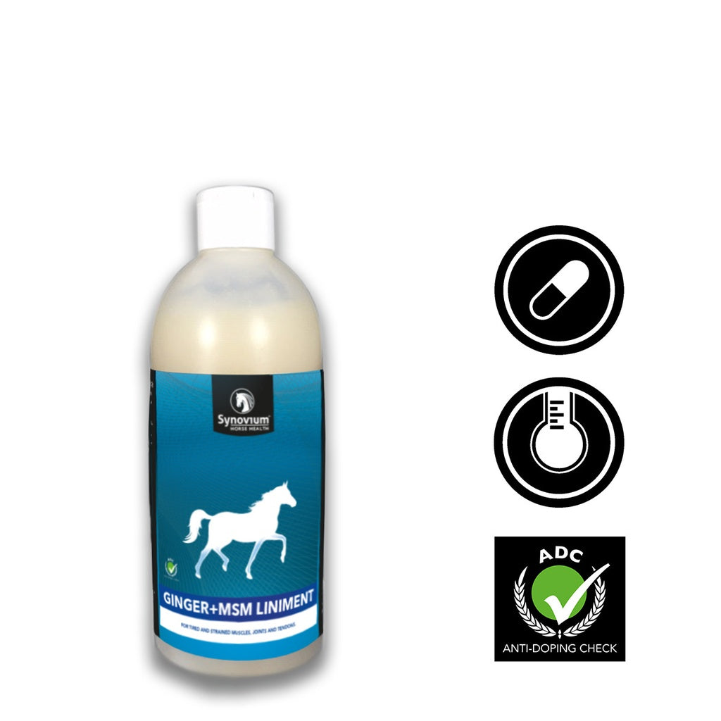 Synovium Ginger-MSM Liniment