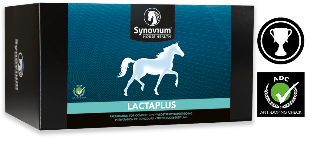 Synovium Lactaplus