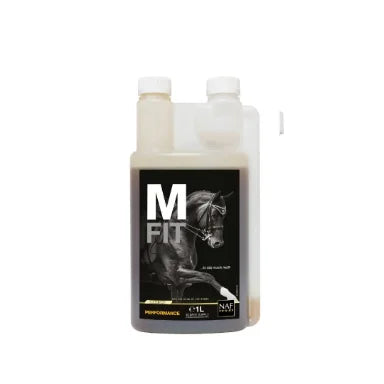 NAF MFit