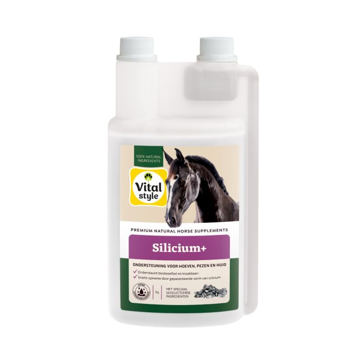 VitalStyle Silicium+ 1000ml